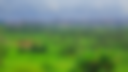 PAGEFCOM2